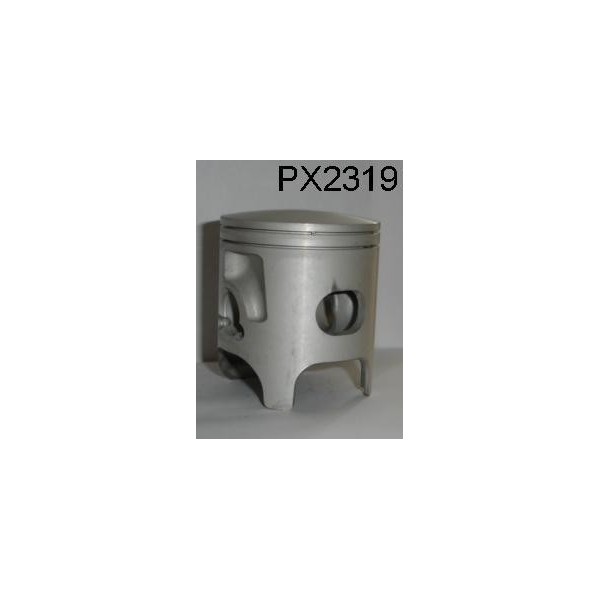 PX2319